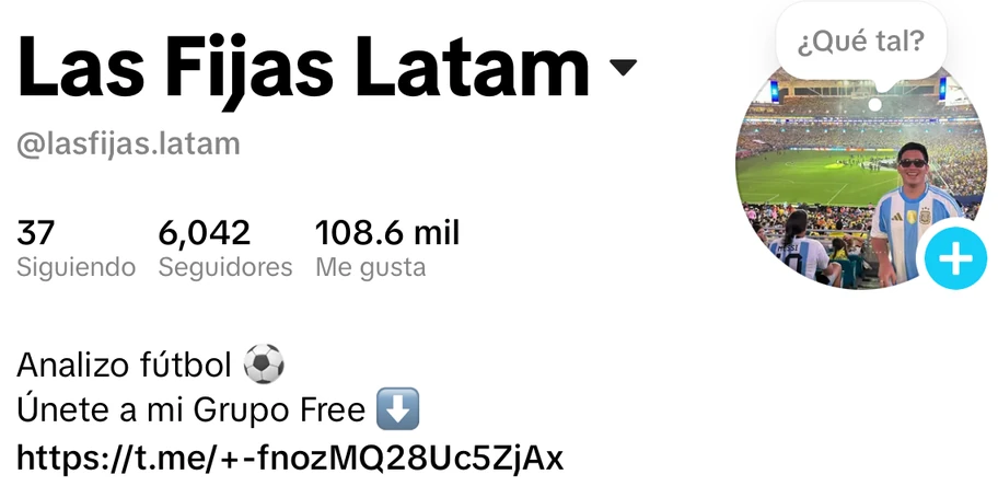 Perfil de TikTok de Las Fijas Latam: 6,042 seguidores, 108.6 mil me gusta y su biografía
